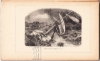 Afbeeldingen van Histoire de mes Aventures sur Terre et sur Mer. De Seyn