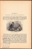 Afbeeldingen van Prins en bedelknaap [ The Prince and the Pauper ]