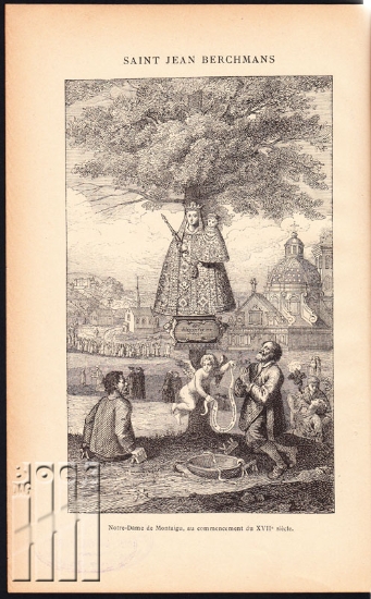 Afbeeldingen van Vie de St Jean Berchmans de la Compagnie de Jésus