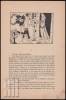 Afbeeldingen van Berten Snullemans