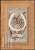 Afbeeldingen van Het boekje van de cognac