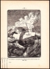 Afbeeldingen van Het Leven en de Avonturen van Kolonel William F. Cody (Bijgenaamd Buffalo Bill)
