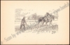 Afbeeldingen van Musschen