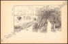 Afbeeldingen van Musschen
