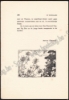 Afbeeldingen van De Boomgaard. Jg. 2, nr. 7. Juli 1911