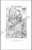Afbeeldingen van Cinquantenaire de la Société des Bibliophiles et Iconophiles de Belgique. 1910-1960