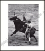 Afbeeldingen van Le quart d'heure du taureau