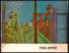 Afbeeldingen van Max Ernst - Galeries nationales du Grand-Palais