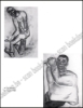 Afbeeldingen van Constant Permeke - Retrospectieve tentoonstelling
