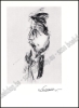 Afbeeldingen van Georges Lemmen. Monographies De L'Art Belge