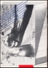 Afbeeldingen van Museumjournaal serie 23. Nr. 4, augustus 1978