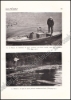 Afbeeldingen van La Pêche