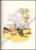 Afbeeldingen van Eigen Aard. Grepen uit de Vlaamse Folklore