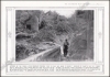Afbeeldingen van The Illustrated War News. Being a Pictorial Record of the Great War. Volume 4