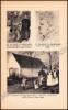 Afbeeldingen van Laethem Saint-Martin. Colonie d'Artistes (Sint-Martens-Latem)