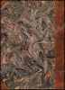 Afbeeldingen van Edmond Van Offel. Monographie