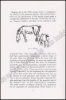Afbeeldingen van Drawings by Modern Belgian Artists