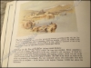 Afbeeldingen van The Holy Land I Love. Lithographs by David Roberts (1839)
