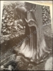 Afbeeldingen van Victor Horta. FR