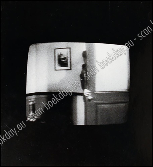 Afbeeldingen van 36 perpetual photos: 1982-89. Allan McCollum