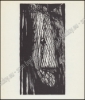 Afbeeldingen van Belgische graveurs van heden. 1966