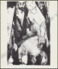 Afbeeldingen van Belgische graveurs van heden. 1966