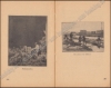 Afbeeldingen van De Wilde Roos. Jrg 3, Nr. 6 , 1925. Het Vlas