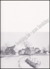 Afbeeldingen van Franck Mortelmans
