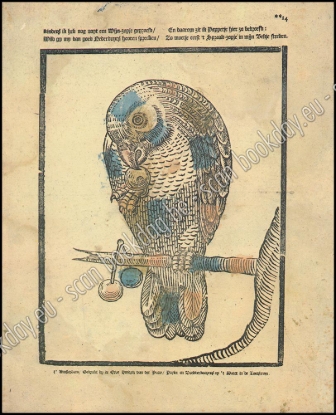 Afbeeldingen van Centsprenten - Catchpennyprints. Nederlandse Volks- en kinderprenten - Dutch Popular- and Childrenprints