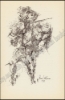 Afbeeldingen van Den Sack der Consten. Illustraties Roel D'HAESE