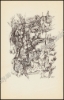 Afbeeldingen van Den Sack der Consten. Illustraties Roel D'HAESE