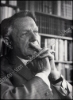 Afbeeldingen van André Demedts