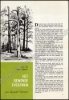 Afbeeldingen van Nonkel Fons Vakantieboek 1968