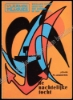 Afbeeldingen van Vlaamse filmpjes. Nr. 1059. 1973. De nachtelijke tocht