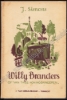Afbeeldingen van Willy Branders. Van twee Koningskinderen