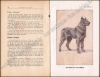 Afbeeldingen van Le Dressage du chien pour la garde et la défense