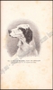 Afbeeldingen van Le Laverack Setter