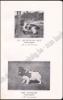 Afbeeldingen van Le Sporting Spaniel, suivi d'une étude sur le Cocker et les Auteurs contemporains