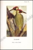 Afbeeldingen van Calendrier Nature