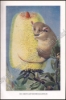 Afbeeldingen van De dierenwereld van Insulinde in woord en beeld, I: Zoogdieren; II: Vogels