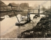 Afbeeldingen van Felix TIMMERMANS [°1886*1947]