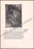 Afbeeldingen van Onze Kunst. Jg. 5, nrs. 2-12. Februari - December 1906