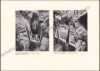 Afbeeldingen van Onze Kunst. Jg. 24, nr. 5. November 1928
