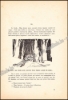 Afbeeldingen van Le tourbillon de neige. Conte soviétique