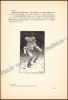 Afbeeldingen van Le tourbillon de neige. Conte soviétique