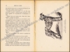 Afbeeldingen van Les chiens : chiens de luxe et d'utilité, chiens de chasse, nomenclature, description, élevage, hygiène et maladies