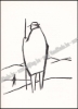 Afbeeldingen van De vlucht. Gesigneerde opdracht