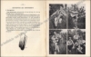 Afbeeldingen van Joie Scoute par ecureuil musical. Couverture Paul Breydel