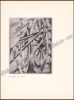 Afbeeldingen van Exposition de l'œuvre gravé de Joris Minne