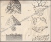Afbeeldingen van Leitfaden beim methodischen Unterricht in der Geographie. 1812